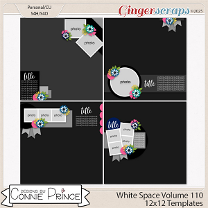 White Space Volume 110 - 12x12 Temps (CU Ok) by Connie Prince