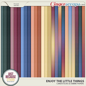 Enjoy The Little Things Cardstocks & Ombré Papers by JB Studio