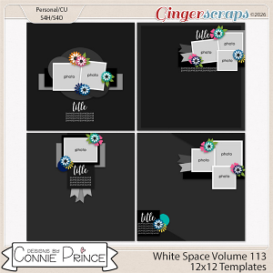 White Space Volume 113 - 12x12 Temps (CU Ok) by Connie Prince