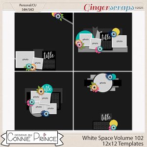 White Space Volume 102 - 12x12 Temps (CU Ok) by Connie Prince