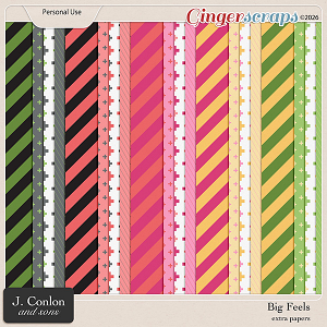 Big Feels Extra Papers by J. Conlon and Sons