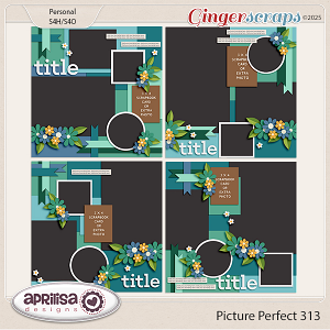 Picture Perfect 313 by Aprilisa Designs