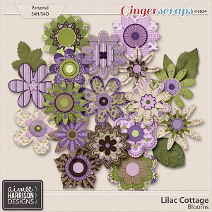 Lilac Cottage Blooms by Aimee Harrison