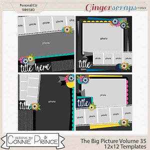 The Big Picture Volume 35 - 12x12 Temps (CU Ok) by Connie Prince