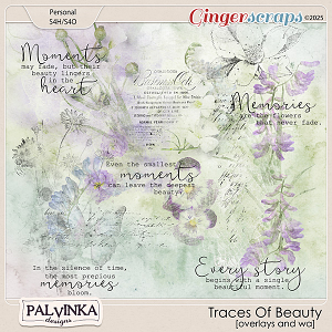 Traces Of Beauty Overlays and WA by Palvinka Designs