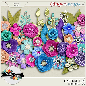 Capture This - Elements Too by Lisa Rosa Designs