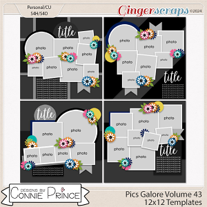 Pics Galore Volume 43 - 12x12 Temps (CU Ok) by Connie Prince