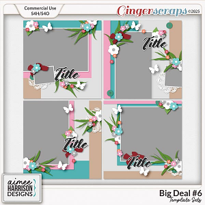 Big Deal #6 Templates by Aimee Harrison