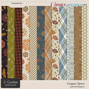 Copper Spice Patterned Papers by J. Conlon and Sons