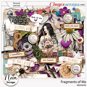 Fragments of Me - Elements - by Neia Scraps