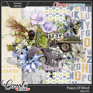 Peace Of Mind-Mini Kit