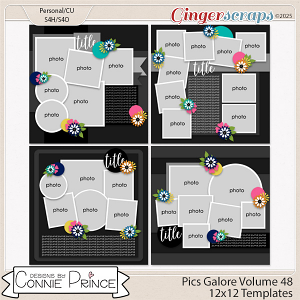 Pics Galore Volume 48 - 12x12 Temps (CU Ok) by Connie Prince