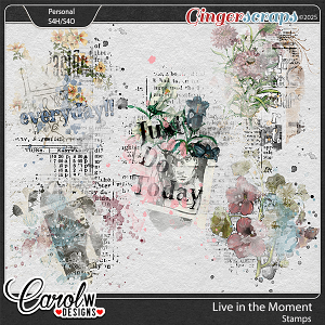 Live in the Moment-Stamp Live in the Moment-Stamp