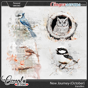 New Journey-{October}-transfers