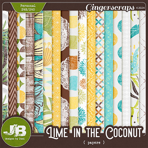 Lime In The Coconut Papers by JB Studio
