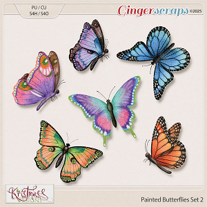 Hand Painted Butterflies Set 2 Hand Painted Butterflies Set 2