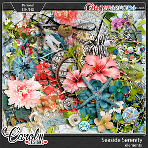 Seaside Serenity-Elements