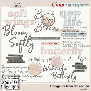 Emergence from the cocoon-Word art
