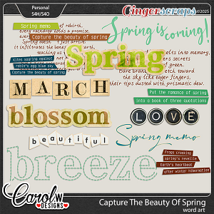 Capture the beauty of spring-Word art
