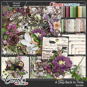 A Step Back In Time-Bundle A Step Back In Time-Bundle