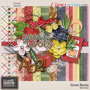 Grow Roots Mini Kit by Aimee Harrison