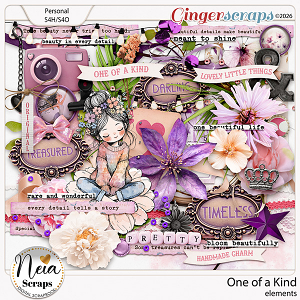One of a Kind - elements - by Neia Scraps
