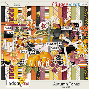 Autumn Tones by Lindsay Jane