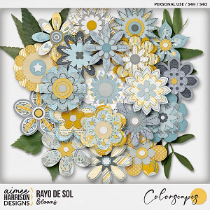 Rayo de Sol Blooms by Aimee Harrison