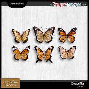 Butterflies CU by J. Conlon and Sons