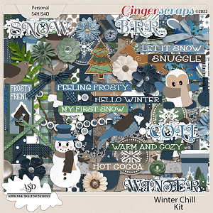 Winter Chill- by Adrienne Skelton Designs  