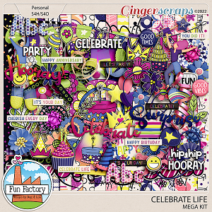 Celebrate Life - Mega Kit by Fun Factory