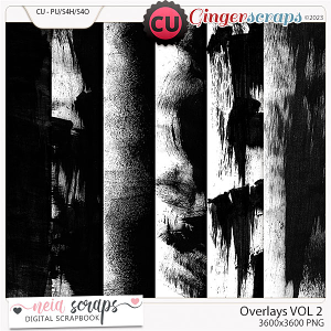 Overlays VOL2 - CU - by Neia Scraps