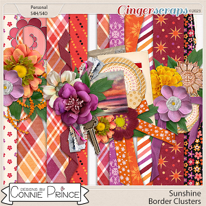 Sunshine - Borders by Connie Prince