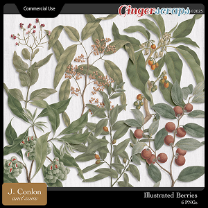 Illustrated Berries CU by J. Conlon and Sons