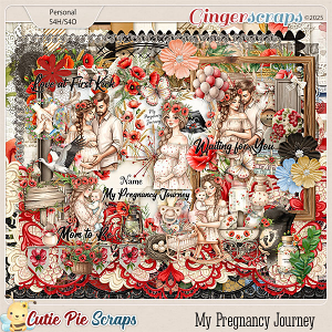 My Pregnancy Journey Page Kit