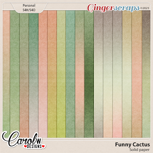 Funny Cactus-Solid papers Funny Cactus-Solid papers