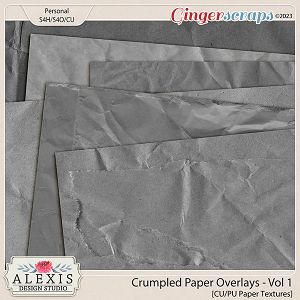 Crumpled Paper Overlays - Vol. 1 by Alexis Design Studio