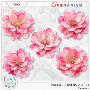 CU Paper Flowers Vol 30 by Ilonka's Designs 