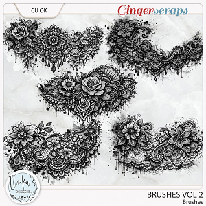 CU Brushes Vol 2 by Ilonka's Designs 