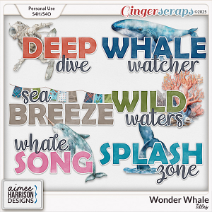Wonder Whale Titles by Aimee Harrison