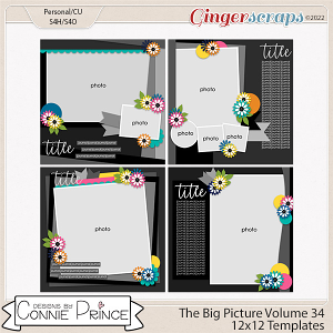 The Big Picture Volume 34- 12x12 Temps (CU Ok) by Connie Prince