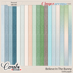 Believe In The Bunny-Solid paper