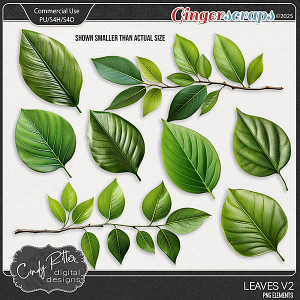 Leaves V2 [CU] by Cindy Ritter