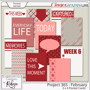 Project 365 - February 3x4 Pocket Cards by Scrapbookcrazy Creations