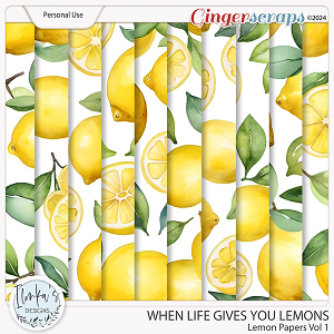 When Life Gives You Lemons Lemon Papers Vol 1 by Ilonka's Designs