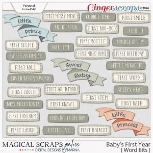 Baby's First Year (word bits)
