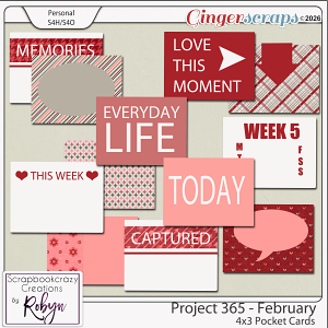 Project 365 - February 4x3 Pocket Cards by Scrapbookcrazy Creations