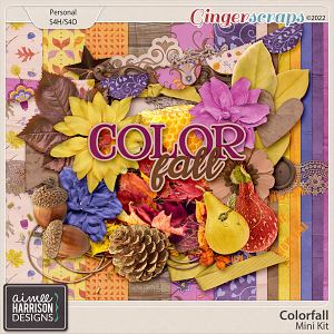 Colorfall Mini Kit by Aimee Harrison