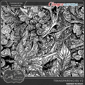 Transparencies V2 [CU Overlays] by Cindy Ritter