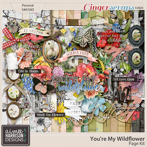 You're My Wildflower Page Kit by Aimee Harrison